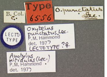 Media type: image;   Entomology 6556 Aspect: labels